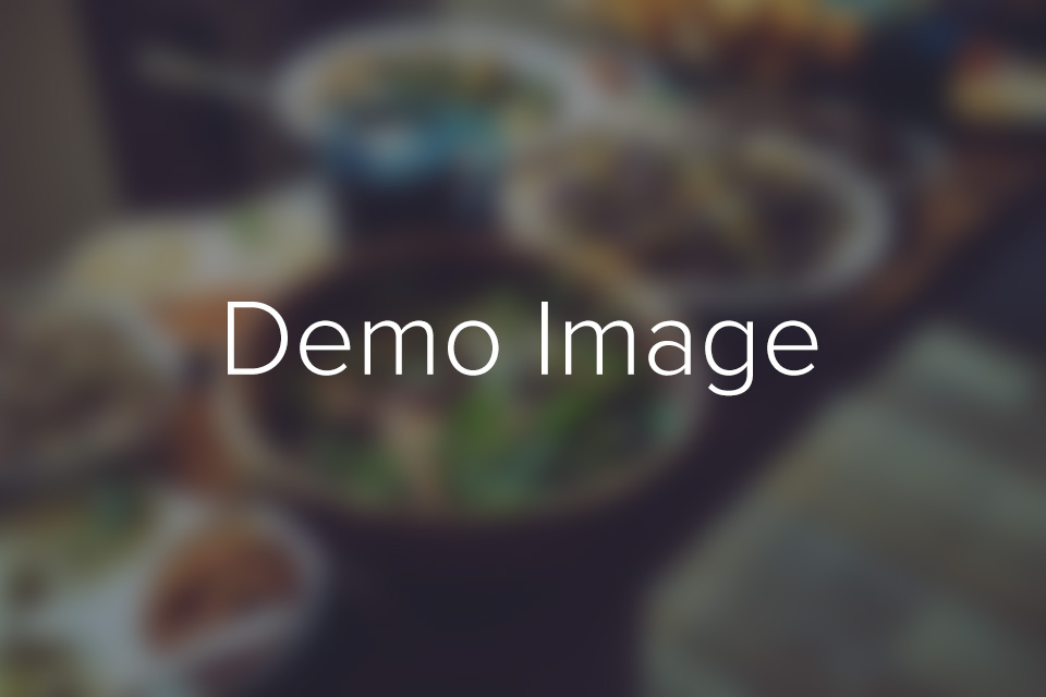 WordPress Themes